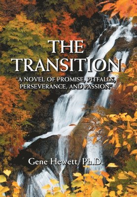 The Transition A Novel of Promise, Pitfalls, Perseverance, and Passion 1