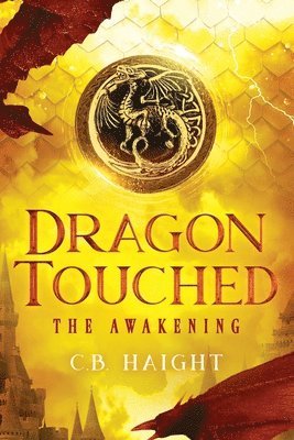 bokomslag Dragon Touched