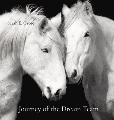 Journey of the Dream Team 1