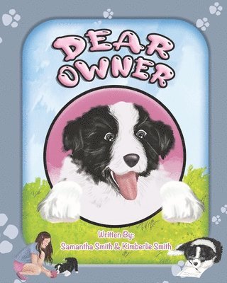 Dear Owner 1