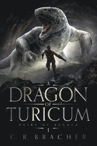 bokomslag A Dragon of Turicum