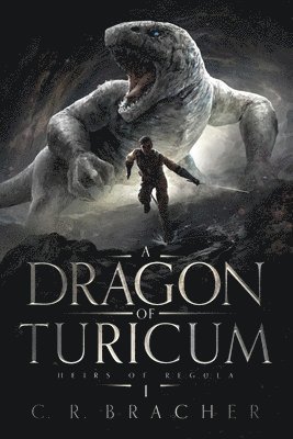 A Dragon of Turicum 1
