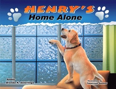 Brenda Dzierlinga - Henry's Home Alone, Häftad