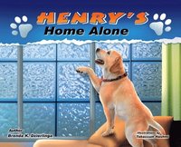 bokomslag Henry's Home Alone