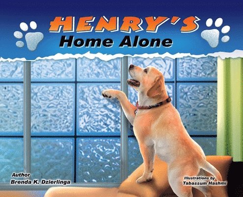 Henry's Home Alone 1