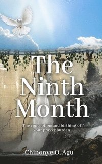 bokomslag The Ninth Month