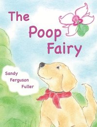 bokomslag The Poop Fairy