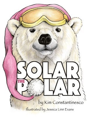 bokomslag Solar the Polar