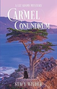 bokomslag Carmel Conundrum