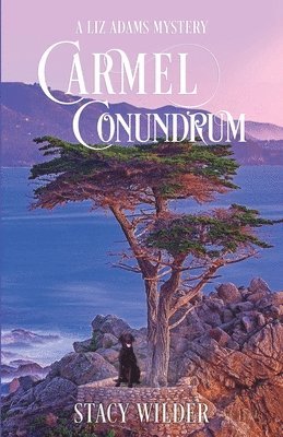 bokomslag Carmel Conundrum