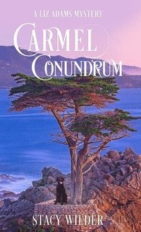 bokomslag Carmel Conundrum