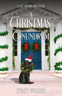 bokomslag Christmas Conundrum