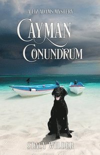 bokomslag Cayman Conundrum