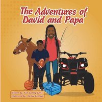 bokomslag The Adventures of David and Papa
