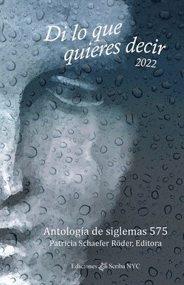 Patricia Schaefer Röder - Di lo que quieres decir 2022, Häftad