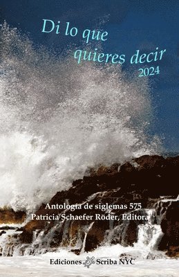 Patricia Schaefer Röder - Di lo que quieres decir 2024, Häftad