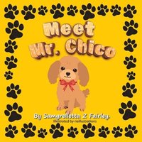 bokomslag Meet Mr. Chico
