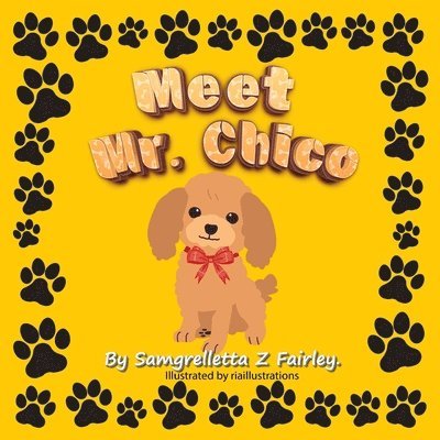 Meet Mr. Chico 1