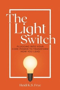 bokomslag The Light Switch