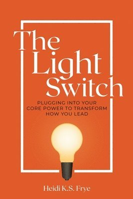 bokomslag Light Switch