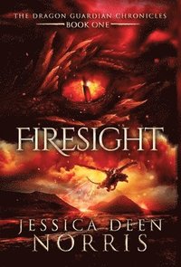 bokomslag Firesight
