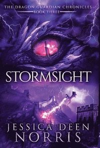 bokomslag Stormsight
