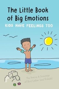 bokomslag The Little Book of Big Emotions