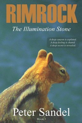 bokomslag The Illumination Stone