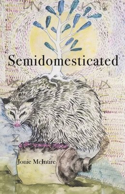 bokomslag Semidomesticated