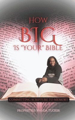 bokomslag How Big Is Your Bible