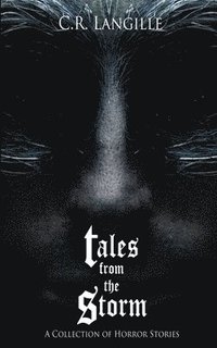 bokomslag Tales from the Storm Omnibus