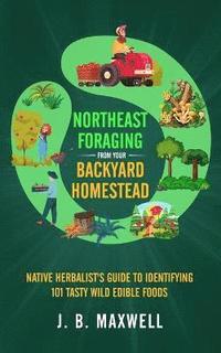 bokomslag Northeast Foraging from Your Backyard Homestead