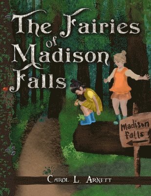 The Fairies of Madison Falls 1