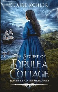 bokomslag The Secret of Drulea Cottage