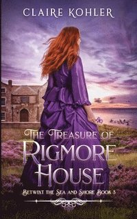 bokomslag The Treasure of Rigmore House