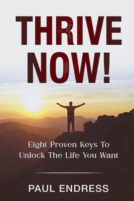 bokomslag Thrive Now