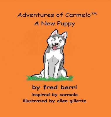 Adventures of Carmelo (tm) A New Puppy 1