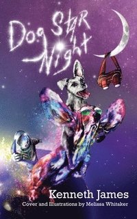bokomslag Dog Star Night: A Fantasy Adventure Story