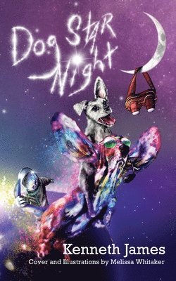 bokomslag Dog Star Night