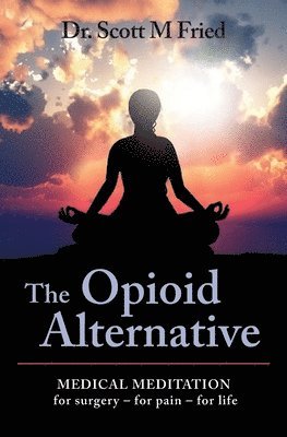 bokomslag Opioid Alternative