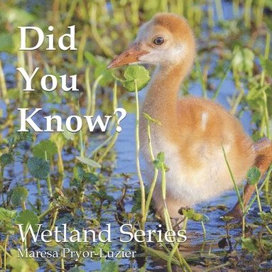 bokomslag Did You Know? Wetland Series