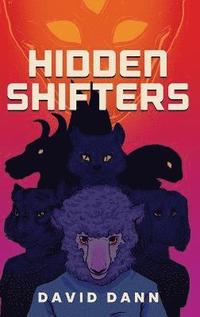 bokomslag Hidden Shifters