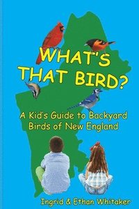 bokomslag What's That Bird? - A Kid's Guide to Backyard Birds of New England