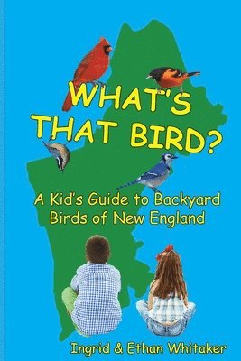 bokomslag What's That Bird? - A Kid's Guide to Backyard Birds of New England