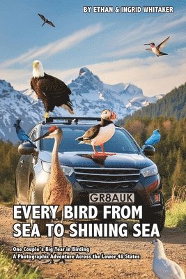 Every Bird from Sea to Shining Sea 1