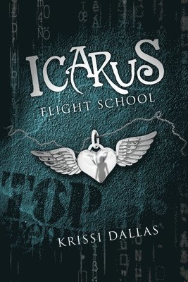 bokomslag Icarus Flight School