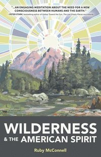 bokomslag Wilderness and the American Spirit
