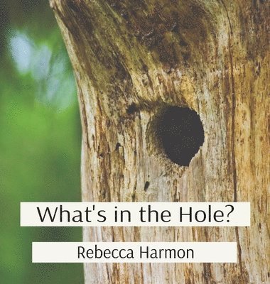 What's in the Hole? 1