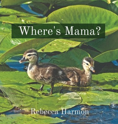 Where's Mama? 1