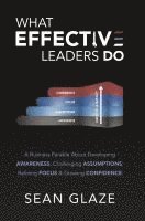 bokomslag What Effective Leaders Do